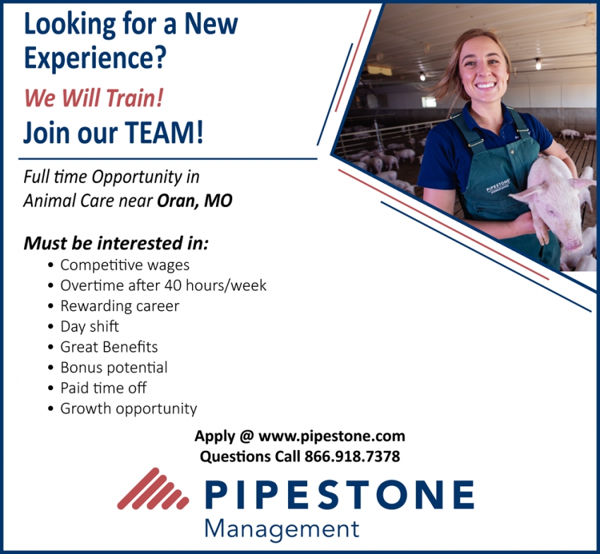 Join Our Team!, Pipestone Management